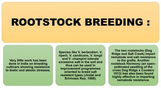 Advances in breeding of grapes | PPTX