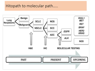 Caseation Hitopath Advances in Cancer and Molecular Oncology | PPTX