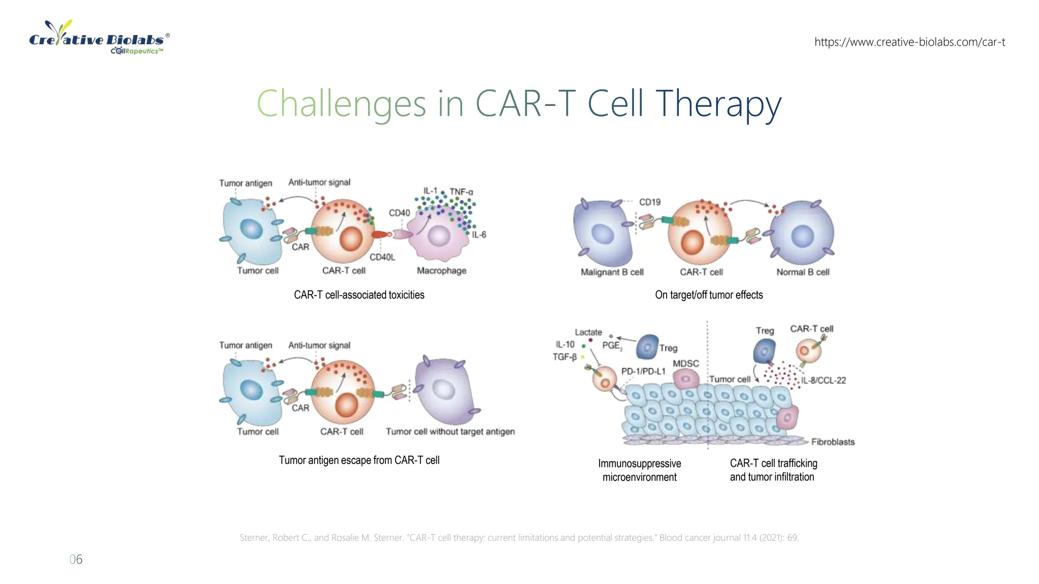 Advances in CAR-T Cell Therapy - Creative Biolabs | PPTX