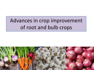 Advances in crop improvement
of root and bulb crops
 