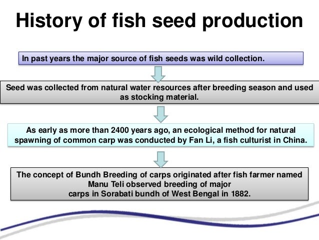 Collection Of Fish Seed From Natural Resources Collection Of Fish Seed From Natural Resources