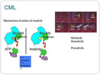 Advances in Diagnosis & Imaging Impacting Cancer Treatment | PDF