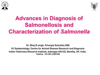 Advances in Diagnosis of
Salmonellosis and
Characterization of Salmonella
Dr. Bhoj R singh, Principal Scientist (VM)
I/C Epidemiology; Centre for Animal Disease Research and Diagnosis
Indian Veterinary Research Institute, Izatnagar-243122, Bareilly, UP, India.
TeleFax +91-581-2302188
 