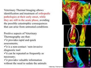 Veterinary Thermal Imaging allows
identification and treatment of orthopedic
pathologies at their early onset, while
they are still in the acute phase, avoiding
the possible catastrophic consequences
that can arise from untreated conditions
Positive aspects of Veterinary
Thermography are that:
it provides rapid and quick
assessments;
it is a non-contact / non-invasive
diagnostic tool
it can be repeated as frequently as
necessary;
it provides valuable information
without the need to sedate the animals
 