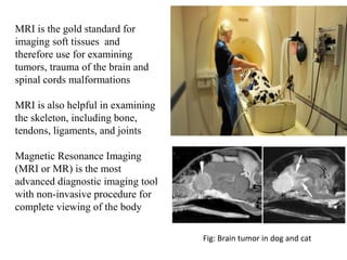 MRI is the gold standard for
imaging soft tissues and
therefore use for examining
tumors, trauma of the brain and
spinal cords malformations
MRI is also helpful in examining
the skeleton, including bone,
tendons, ligaments, and joints
Magnetic Resonance Imaging
(MRI or MR) is the most
advanced diagnostic imaging tool
with non-invasive procedure for
complete viewing of the body
Fig: Brain tumor in dog and cat
 
