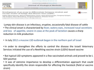 Lumpy skin disease is an infectious, eruptive, occasionally fatal disease of cattle
• The clinical onset is characterized by fever, watery eyes, increased nasal secretions
and loss of appetite, severe in cows at the peak of lactation causes a sharp
reduction in milk production
• In July 2012 a massive LSD outbreak began in the northern part of Israel
• In order to strengthen the efforts to control the disease the Israeli Veterinary
Services initiated the use of a Neethling vaccine strain (LSDV)-based vaccine
• But typical LSD symptoms appeared in a few vaccinated animals and proved to be L
SDV positive
• It was of extreme importance to develop a differentiation approach that could
specifically identify the strain responsible for affecting the livestock (field or vaccine
strain)
 