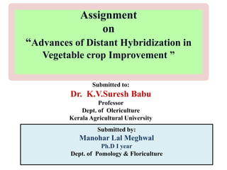 Assignment
on
“Advances of Distant Hybridization in
Vegetable crop Improvement ”
Submitted to:
Dr. K.V.Suresh Babu
Professor
Dept. of Olericulture
Kerala Agricultural University
Submitted by:
Manohar Lal Meghwal
Ph.D I year
Dept. of Pomology & Floriculture
 