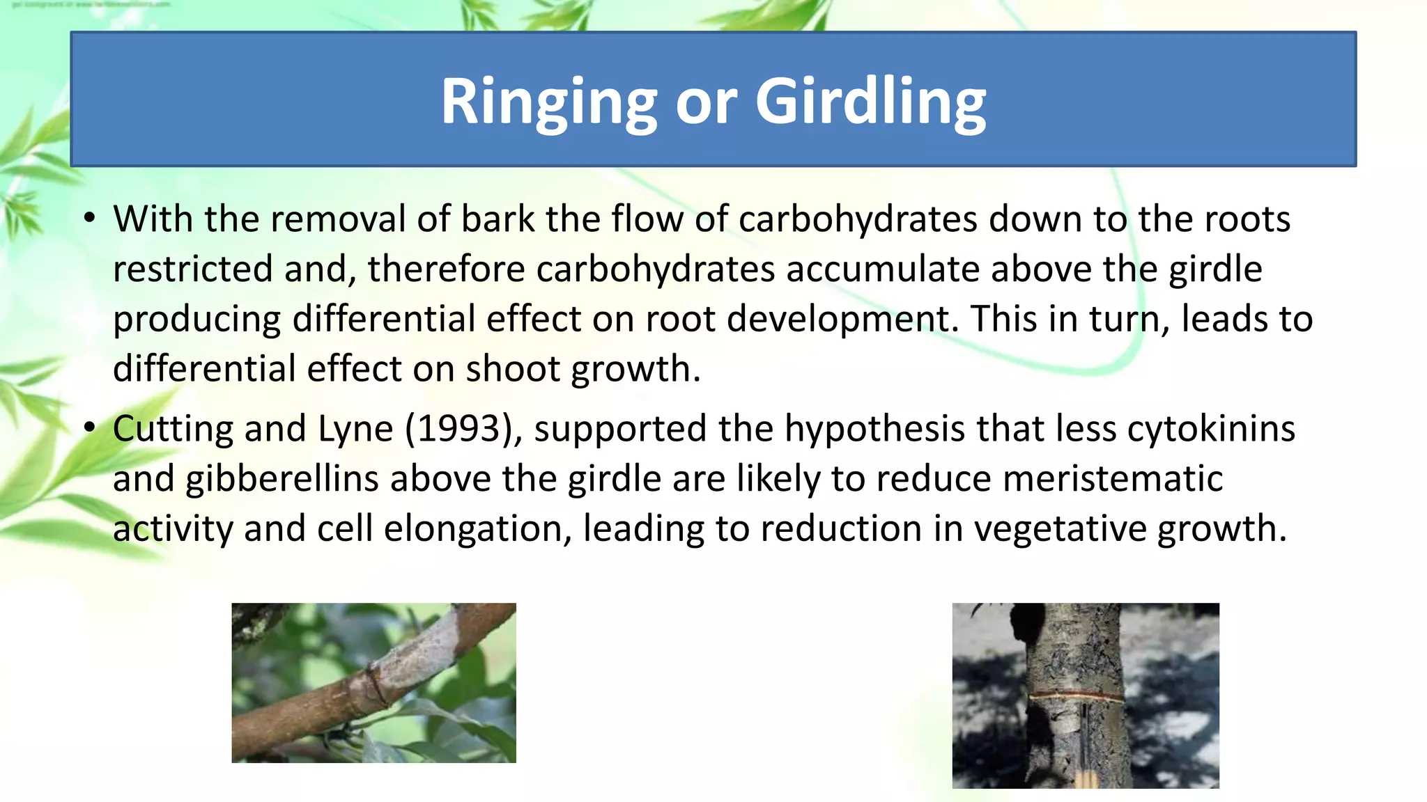 Advances in dwarfism of fruit plants | PPTX