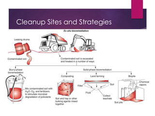 Advances in environmental hygiene | PPTX