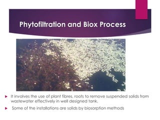 Advances in environmental hygiene | PPTX