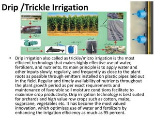 Drip /Trickle Irrigation
• Drip irrigation also called as trickle/micro irrigation is the most
efficient technology that makes highly effective use of water,
fertilizers, and nutrients. Its main principle is to apply water and
other inputs slowly, regularly, and frequently as close to the plant
roots as possible through emitters installed on plastic pipes laid out
in the field. Regular and timely availability of nutrients throughout
the plant growth period as per exact requirements and
maintenance of favorable soil moisture conditions facilitate to
maximize crop productivity. Drip irrigation technology is best suited
for orchards and high value row crops such as cotton, maize,
sugarcane, vegetables etc. It has become the most valued
innovation, which optimizes use of water and fertilizers by
enhancing the irrigation efficiency as much as 95 percent.
 