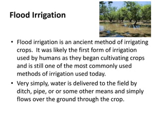 Flood Irrigation
• Flood irrigation is an ancient method of irrigating
crops. It was likely the first form of irrigation
used by humans as they began cultivating crops
and is still one of the most commonly used
methods of irrigation used today.
• Very simply, water is delivered to the field by
ditch, pipe, or or some other means and simply
flows over the ground through the crop.
 