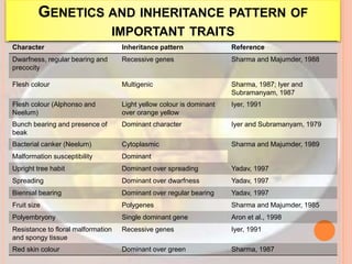 GENETICS AND INHERITANCE PATTERN OF
IMPORTANT TRAITS
Character Inheritance pattern Reference
Dwarfness, regular bearing and
precocity
Recessive genes Sharma and Majumder, 1988
Flesh colour Multigenic Sharma, 1987; Iyer and
Subramanyam, 1987
Flesh colour (Alphonso and
Neelum)
Light yellow colour is dominant
over orange yellow
Iyer, 1991
Bunch bearing and presence of
beak
Dominant character Iyer and Subramanyam, 1979
Bacterial canker (Neelum) Cytoplasmic Sharma and Majumder, 1989
Malformation susceptibility Dominant
Upright tree habit Dominant over spreading Yadav, 1997
Spreading Dominant over dwarfness Yadav, 1997
Biennial bearing Dominant over regular bearing Yadav, 1997
Fruit size Polygenes Sharma and Majumder, 1985
Polyembryony Single dominant gene Aron et al., 1998
Resistance to floral malformation
and spongy tissue
Recessive genes Iyer, 1991
Red skin colour Dominant over green Sharma, 1987
 