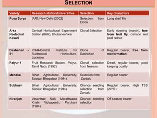 SELECTION
Variety Research station/Universities Selection Key characters
Pusa Surya IARI, New Delhi (2002) Selection from
Eldon
Long shelf life
Arka
Neelachal
Kesari
Central Horticultural Experiment
Station (IIHR), Bhubaneshwar
Clonal Selection Early ripening (march), free
from fruit fly, crimson red
peel colour
Dashehari -
51
ICAR-Central Institute for
Subtropical Horticulture,
Lucknow
Clone of
Dashehari
Regular bearer, free from
malformation
Paiyur 1 Fruit Research Station, Paiyur,
Tamil Nadu (1992)
Clonal selection
from Neelum
Dwarf, regular bearer, good
keeping quality
Menaka Bihar Agricultural University,
Sabour, Bhagalpur (1994)
Selection from
Zardalu
Regular bearer
Subhash Bihar Agricultural University,
Sabour, Bhagalpur (1994)
Chance seedling
selection from
Zardalu
Regular bearer, High TSS
(24⁰ B)
Niranjan Vasantrao Naik Marathwada
Krishi Vidyapeeth, Parbhani
(1984)
Chance seedling
selection
Off season bearer
 