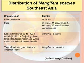 Distribution of Mangifera species
Southeast Asia
Country/Island Species
Indian Peninsula M. indica
India M. indica, M. andamanica, M.
khasiana, M. sylvatica and M.
camptosperma
Eastern Himalayas (up to 1300 m
altitude) in Sikkim, Darjeeling district,
Khasi Hills, Upper Assam and Surma
valley; and in the Andaman Islands
Mangifera sylvatica
Tropical, wet evergreen forests of
Andaman Islands
Mangifera andamanica
(National Mango Database)
 
