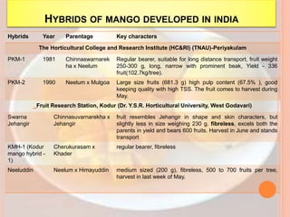 HYBRIDS OF MANGO DEVELOPED IN INDIA
Hybrids Year Parentage Key characters
The Horticultural College and Research Institute (HC&RI) (TNAU)-Periyakulam
PKM-1 1981 Chinnaswarnarek
ha x Neelum
Regular bearer, suitable for long distance transport, fruit weight
250-300 g, long, narrow with prominent beak, Yield - 336
fruit(102.7kg/tree).
PKM-2 1990 Neelum x Mulgoa Large size fruits (681.3 g) high pulp content (67.5% ), good
keeping quality with high TSS. The fruit comes to harvest during
May.
Fruit Research Station, Kodur (Dr. Y.S.R. Horticultural University, West Godavari)
Swarna
Jehangir
Chinnasuvarnarekha x
Jehangir
fruit resembles Jehangir in shape and skin characters, but
slightly less in size weighing 230 g. fibreless, excels both the
parents in yield and bears 600 fruits. Harvest in June and stands
transport
KMH-1 (Kodur
mango hybrid -
1)
Cherukurasam x
Khader
regular bearer, fibreless
Neeluddin Neelum x Himayuddin medium sized (200 g), fibreless, 500 to 700 fruits per tree,
harvest in last week of May.
 