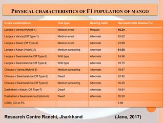 PHYSICAL CHARACTERISTICS OF F1 POPULATION OF MANGO
Research Centre Ranchi, Jharkhand (Jana, 2017)
Cross combinations Tree type Bearing habit Hermaphrodite flowers (%)
Langra x Vanraj (Hybrid-1) Medium erect Regular 45.24
Langra x Vanraj (Off Type-1) Medium erect Alternate 25.62
Langra x Kesar (Off Type-2) Medium erect Alternate 23.89
Langra x Kesar (Hybrid-2) Medium spreading Alternate 54.65
Langra x Swarnarekha (Off Type-3) Wild type Alternate 24.96
Langra x Swarnarekha (Off Type-4) Wild type Alternate 18.75
Chausa x Vanraj (Hybrid-3) Medium spreading Alternate 19.67
Chausa x Swarnarekha (Off Type-5) Dwarf Alternate 22.82
Chausa x Swarnarekha (Off Type-6) Medium spreading Alternate 16.25
Dashehari x Kesar (Off Type-7) Dwarf Alternate 19.64
Dashehari x Swarnarekha (Hybrid-4) Dwarf Alternate 35.32
(CRD) CD at 5% 5.86
 