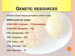 GENETIC RESOURCES
 World’s richest mango germplasm centre (India)
 NAGS centre for mango:
 ICAR-CISH, Lucknow – 775 Accessions
 ICAR-IIHR, Bangalore – 750
 FRS, Sangareddy - 470
 FRS, Vengulara – 297
 FRS, Kodur – 125
 UAS, Dharwad - 102
 IARI, New Delhi – 70
 