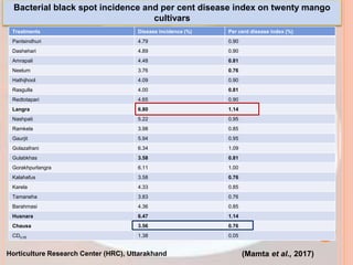 Bacterial black spot incidence and per cent disease index on twenty mango
cultivars
Treatments Disease incidence (%) Per cent disease index (%)
Pantsindhuri 4.79 0.90
Dashehari 4.89 0.90
Amrapali 4.48 0.81
Neelum 3.76 0.76
Hathijhool 4.09 0.90
Rasgulla 4.00 0.81
Redtotapari 4.65 0.90
Langra 6.80 1.14
Nashpati 5.22 0.95
Ramkela 3.98 0.85
Gaurjit 5.94 0.95
Golazafrani 6.34 1.09
Gulabkhas 3.58 0.81
Gorakhpurlangra 6.11 1.00
Kalahafus 3.58 0.76
Karela 4.33 0.85
Tamaneha 3.83 0.76
Barahmasi 4.36 0.85
Husnara 6.47 1.14
Chausa 3.56 0.76
CD0.05 1.38 0.05
(Mamta et al., 2017)
Horticulture Research Center (HRC), Uttarakhand
 