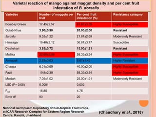 Varietal reaction of mango against maggot density and per cent fruit
infestation of B. dorsalis
Varieties Number of maggots per
fruit
Per cent fruit
infestation (%)
Resistance category
Bombay Green 17.45±2.57 61.67±3.35 Highly Susceptible
Gulab Khas 3.90±0.90 20.00±2.00 Resistant
Jardalu 9.35±1.22 21.67±2.69 Moderately Resistant
Himsagar 16.40±2.12 36.67±3.77 Susceptible
Dashehari 3.85±0.72 15.00±1.91 Resistant
Mallika 22.65±3.09 58.33±3.54 Highly Susceptible
Amrapali 2.85±0.63 6.67±1.49 Highly Resistant
Chausa 6.01±0.69 40.00±2.00 Highly Susceptible
Fazli 19.8±2.38 58.33±3.54 Highly Susceptible
Maldah 7.05±1.02 25.00±1.91 Moderately Resistant
LSD (P= 0.05) 0.0001 0.002
Fcal 16.85 4.75
Error df 90 20
(Chaudhary et al., 2018)
National Germplasm Repository of Sub-tropical Fruit Crops,
at ICAR Research Complex for Eastern Region Research
Centre, Ranchi, Jharkhand
 