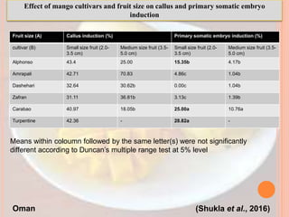 Effect of mango cultivars and fruit size on callus and primary somatic embryo
induction
Fruit size (A) Callus induction (%) Primary somatic embryo induction (%)
cultivar (B) Small size fruit (2.0-
3.5 cm)
Medium size fruit (3.5-
5.0 cm)
Small size fruit (2.0-
3.5 cm)
Medium size fruit (3.5-
5.0 cm)
Alphonso 43.4 25.00 15.35b 4.17b
Amrapali 42.71 70.83 4.86c 1.04b
Dashehari 32.64 30.62b 0.00c 1.04b
Zafran 31.11 36.81b 3.13c 1.39b
Carabao 40.97 18.05b 25.00a 10.76a
Turpentine 42.36 - 28.82a -
Means within coloumn followed by the same letter(s) were not significantly
different according to Duncan’s multiple range test at 5% level
Oman (Shukla et al., 2016)
 