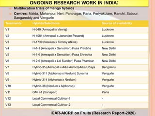 ONGOING RESEARCH WORK IN INDIA:
 Multilocation trials of mango hybrids
 Centres: Malda, Mohanpur, Neri, Pantnagar, Paria, Periyakulam, Ranchi, Sabour,
Sangareddy and Vengurle
Treatments Hybrids/Selections Source of availability
V1 H-949 (Amrapali x Vanraj) Lucknow
V2 H-1084 (Amrapali x Janardan Pasand) Lucknow
V3 H-1739 (Neelum x Tommy Atkins) Lucknow
V4 H-1-1 (Amrapali x Sensation) Pusa Pratibha New Delhi
V5 H-1-6 (Amrapali x Sensation) Pusa Shreshta New Delhi
V6 H-2-6 (Amrapali x Lal Sundari) Pusa Pitambar New Delhi
V7 Hybrid-35 (Amrapali x Arka Anmol) Arka Udaya Bengaluru
V8 Hybrid-311 (Alphonso x Neelum) Suvarna Vengurle
V9 Hybrid-314 (Alphonso x Neelum) Vengurle
V10 Hybrid-36 (Neelum x Alphonso) Vengurle
V11 GMH-1 (Sonapari) Paria
V12 Local Commercial Cultivar-1 -
V13 Local Commercial Cultivar-2 -
ICAR-AICRP on Fruits (Research Report-2020)
 