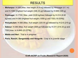 RESULTS
 Mohanpur: H-349 [Max. tree height (4.4 m)] followed by Himsagar (4.1 m)
and H-1084 [Highest fruit weight (346.33 g)] followed by H-949 (345 g)
 Pantnagar: H-1739 [ Max. yield (9.69 kg/tree) followed by H-314 (8.92
kg/tree) and H-360 [Highest fruit weight (1059 g) and TSS (19.53⁰B)]
 Periyakulam: H-360 [Max. fruit weight (320.55 g)] followed by H-2-6 (215 g)
 Sabour: H-360 [Max. fruit weight (508 g)] followed by H-311 (314.33 g) and
TSS [max. in H-949 (23.37⁰B)]
 Malda and Neri : Trial is in progress
 Paria, Ranchi, Sangareddy and Vengurle : Crop is in juvenile stage
ICAR-AICRP on Fruits (Research Report-2020)
 