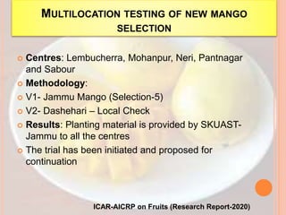 MULTILOCATION TESTING OF NEW MANGO
SELECTION
 Centres: Lembucherra, Mohanpur, Neri, Pantnagar
and Sabour
 Methodology:
 V1- Jammu Mango (Selection-5)
 V2- Dashehari – Local Check
 Results: Planting material is provided by SKUAST-
Jammu to all the centres
 The trial has been initiated and proposed for
continuation
ICAR-AICRP on Fruits (Research Report-2020)
 