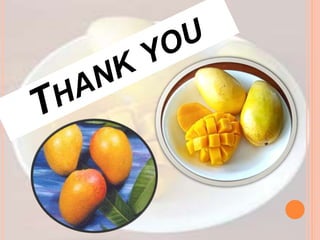 ADVANCES IN MANGO CROP IMPROVEMENT.pptx