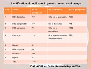 S. No Centre No. of
germplasms
No. of centres-8 No. of germplasms
1. IIHR, Bangaluru 767 Total no. of germplasm 1797
2. FRS, Sangareddy 477 No. of duplicates 415
3. FRS, Vengulara 79 Total no. of
germplasms
1382
4. Pantnagar 220 Most repeated varieties
across all centres
272
5. Rahuri 52
6. Udaipur centre 69
7. Mohanpur 109
8. Imphal 24
Total 1797
ICAR-AICRP on Fruits (Research Report-2020)
Identification of duplicates in genetic resources of mango
 