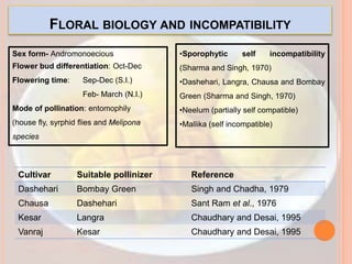 FLORAL BIOLOGY AND INCOMPATIBILITY
Cultivar Suitable pollinizer Reference
Dashehari Bombay Green Singh and Chadha, 1979
Chausa Dashehari Sant Ram et al., 1976
Kesar Langra Chaudhary and Desai, 1995
Vanraj Kesar Chaudhary and Desai, 1995
•Sporophytic self incompatibility
(Sharma and Singh, 1970)
•Dashehari, Langra, Chausa and Bombay
Green (Sharma and Singh, 1970)
•Neelum (partially self compatible)
•Mallika (self incompatible)
Sex form- Andromonoecious
Flower bud differentiation: Oct-Dec
Flowering time: Sep-Dec (S.I.)
Feb- March (N.I.)
Mode of pollination: entomophily
(house fly, syrphid flies and Melipona
species
 