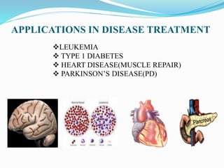 APPLICATIONS IN DISEASE TREATMENT
Pancreas
Pancreas
LEUKEMIA
 TYPE 1 DIABETES
 HEART DISEASE(MUSCLE REPAIR)
 PARKINSON’S DISEASE(PD)
 