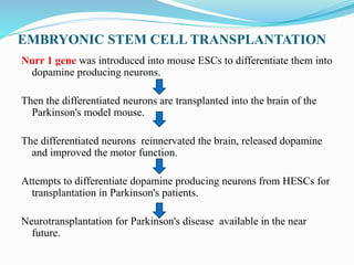 EMBRYONIC STEM CELL TRANSPLANTATION
Nurr 1 gene was introduced into mouse ESCs to differentiate them into
dopamine producing neurons.
Then the differentiated neurons are transplanted into the brain of the
Parkinson's model mouse.
The differentiated neurons reinnervated the brain, released dopamine
and improved the motor function.
Attempts to differentiate dopamine producing neurons from HESCs for
transplantation in Parkinson's patients.
Neurotransplantation for Parkinson's disease available in the near
future.
 