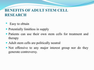 BENEFITS OF ADULT STEM CELL
RESEARCH
• Easy to obtain
 Potentially limitless in supply
 Patients can use their own stem cells for treatment and
therapy
 Adult stem cells are politically neutral
 Not offensive to any major interest group nor do they
generate controversy.
 