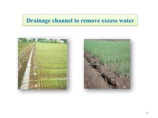 16
Drainage channel to remove excess water
 