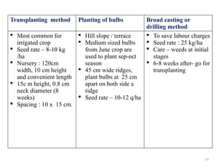 19
Transplanting method Planting of bulbs Broad casting or
drilling method
 Most common for
irrigated crop
 Seed rate – 8-10 kg
/ha
 Nursery : 120cm
width, 10 cm height
and convenient length
 15c m height, 0.8 cm
neck diameter (8
weeks)
 Spacing : 10 x 15 cm.
 Hill slope / terrace
 Medium sized bulbs
from June crop are
used to plant sep-oct
season
 45 cm wide ridges,
plant bulbs at 25 cm
apart on both side a
ridge
 Seed rate – 10-12 q/ha
 To save labour charges
 Seed rate : 25 kg/ha
 Care – weeds at initial
stages
 6-8 weeks after- go for
transplanting
 