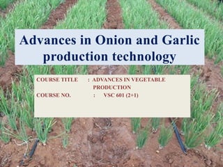 2
Advances in Onion and Garlic
production technology
COURSE TITLE : ADVANCES IN VEGETABLE
PRODUCTION
COURSE NO. : VSC 601 (2+1)
 