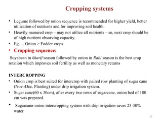 25
Cropping systems
• Legume followed by onion sequence is recommended for higher yield, better
utilization of nutrients and for improving soil health.
• Heavily manured crop – may not utilize all nutrients – so, next crop should be
of high nutrient obsorving capacity.
• Eg…. Onion > Fodder crops.
• Cropping sequence:
Soyabean in kharif season followed by onion in Rabi season is the best crop
rotation which improves soil fertility as well as monetary returns
INTERCROPPING
• Onion crop is best suited for intercrop with paired row planting of sugar cane
(Nov.-Dec. Planting) under drip irrigation system.
• Sugar cane(60 x 30cm), after every two rows of sugarcane, onion bed of 180
cm was prepared.
• Sugarcane-onion intercropping system with drip irrigation saves 25-30%
water
 