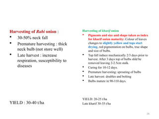 26
Harvesting of Rabi onion :
 30-50% neck fall
 Premature harvesting : thick
neck bulb (not store well)
 Late harvest : increase
respiration, susceptibility to
diseases
YIELD : 30-40 t/ha
Harvesting of kharif onion
 Pigments and size and shape taken as index
for kharif onion maturity: Colour of leaves
changes to slightly yellow and tops start
drying, red pigmentation on bulbs, true shape
and size of bulbs.
 Top fall induce mechanically 2/3 days prior to
harvest. After 3 days top of bulbs shld be
removed leaving 2-2.5cm stalk.
 Curing for 10-12 days.
 Premature harvesting: sprouting of bulbs
 Late harvest: doubles and bolting
 Bulbs mature in 90-110 days.
YIELD: 20-25 t/ha
Late kharif 30-35 t/ha
 