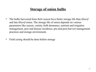 30
Storage of onion bulbs
• The bulbs harvested from Rabi season have better storage life than Kharif
and late Kharif onion. The storage life of onion depends on various
parameters like season, variety, bulb dormancy, nutrient and irrigation
management, pest and disease incidence, pre-and post-harvest management
practices and storage environment.
• Field curing should be done before storage
 