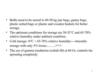 31
• Bulbs need to be stored in 40-50 kg jute bags, gunny bags,
plastic netted bags or plastic and wooden baskets for better
storage.
• The optimum conditions for storage are 30-35˚C and 65-70%
relative humidity under ambient condition.
• Cold storage- 0°C + 65-70% relative humidity----6months
storage with only 5% losses…….>>>
• The use of gamma irradiation (cobalt 60) at 60 Gr. controls the
sprouting completely
 
