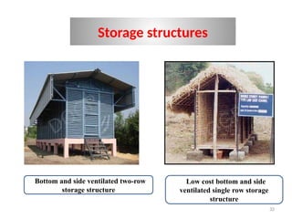 32
Storage structures
Bottom and side ventilated two-row
storage structure
Low cost bottom and side
ventilated single row storage
structure
 