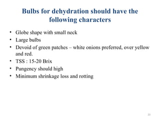 33
Bulbs for dehydration should have the
following characters
• Globe shape with small neck
• Large bulbs
• Devoid of green patches – white onions preferred, over yellow
and red.
• TSS : 15-20 Brix
• Pungency should high
• Minimum shrinkage loss and rotting
 
