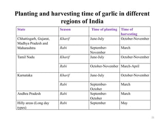 35
Planting and harvesting time of garlic in different
regions of India
State Season Time of planting Time of
harvesting
Chhattisgarh, Gujarat,
Madhya Pradesh and
Maharashtra
Kharif June-July October-November
Rabi September-
November
March
Tamil Nadu Kharif June-July October-November
Rabi October-November March-April
Karnataka Kharif June-July October-November
Rabi September-
October
March
Andhra Pradesh Rabi September-
October
March
Hilly areas (Long day
types)
Rabi September May
 