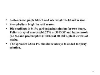 44
• Anthracnose, puple blotch and sclerotial rot- kharif season
• Stemphylium blight in rabi season.
• Dip seedlings in 0.1% carbendazim solution for two hours.
Foliar spray of mancozeb0.25% at 30 DOT and hexaconzole
(0.1%) and profenophos (1ml/lit) at 60 DOT, plant 2 rows of
maize.
• The spreader 0.5 to 1% should be always to added to spray
solution.
 