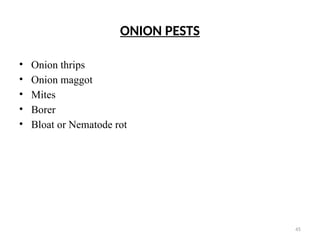 45
ONION PESTS
• Onion thrips
• Onion maggot
• Mites
• Borer
• Bloat or Nematode rot
 