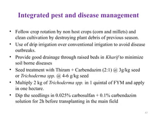 47
Integrated pest and disease management
• Follow crop rotation by non host crops (corn and millets) and
clean cultivation by destroying plant debris of previous season.
• Use of drip irrigation over conventional irrigation to avoid disease
outbreaks.
• Provide good drainage through raised beds in Kharif to minimize
soil borne diseases
• Seed treatment with Thiram + Carbendazim (2:1) @ 3g/kg seed
or Trichoderma spp. @ 4-6 g/kg seed
• Multiply 2 kg of Trichoderma spp. in 1 quintal of FYM and apply
in one hectare.
• Dip the seedlings in 0.025% carbosulfan + 0.1% carbendazim
solution for 2h before transplanting in the main field
 