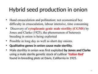 49
Hybrid seed production in onion
• Hand emasculation and pollination: not economical bcz
difficulty in emasculation, labour intensive, time consuming
• Discovery of cytoplasmic genic male sterility (CGMS) by
Jones and Clarke (1925), the phenomenon of heterosis
breeding in onion is being exploited
• Possible in long day as well as short day onions.
• Qualitative genes in onion cause male sterility.
• Male sterility in onion was first exploited by Jones and Clarke
using a male sterile genetic stock of cultivar ‘Italian Red’
found in breeding plots at Davis, California in 1925.
 
