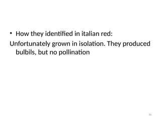 50
• How they identified in italian red:
Unfortunately grown in isolation. They produced
bulbils, but no pollination
 