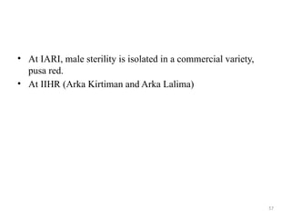57
• At IARI, male sterility is isolated in a commercial variety,
pusa red.
• At IIHR (Arka Kirtiman and Arka Lalima)
 